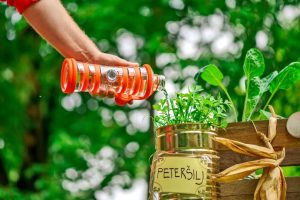 The Importance of Using BPA-Free Bottles for Health