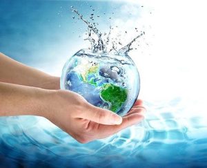 Importance of Water: Why Water Is Life